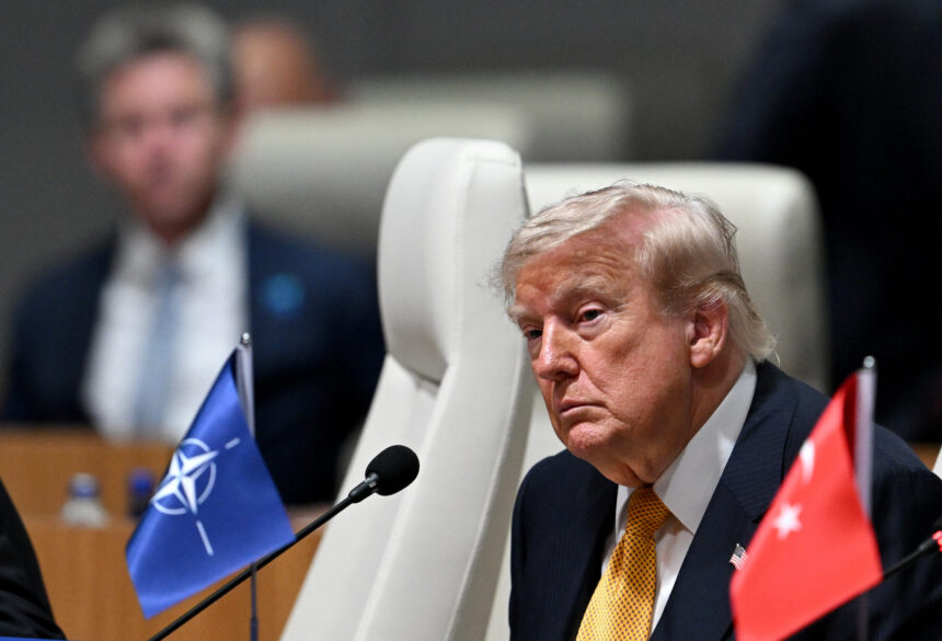 statele nato din europa de est se dau bine pe langa trump i au pregatit liderului sua o oferta financiara 6a899ee569a78