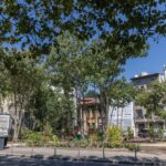 un teren abandonat din centrul capitalei se transforma in spatiu verde au fost scoase 24 de tone de gunoi 6a89aaef25066
