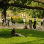 scandal urias provocat de un politician am vrut sa alerg dar am renuntat pentru ca parcul era plin de grasi 6acf36894c1d7