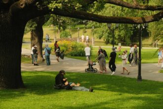scandal urias provocat de un politician am vrut sa alerg dar am renuntat pentru ca parcul era plin de grasi 6acf36894c1d7